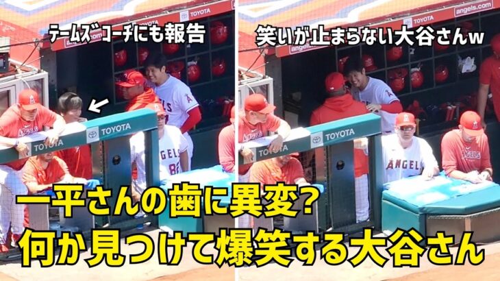 イジる顔が悪すぎるw  一平さんの何かを見つけて爆笑する大谷さん  現地映像 エンゼルス Angels 大谷翔平 Shohei Ohtani