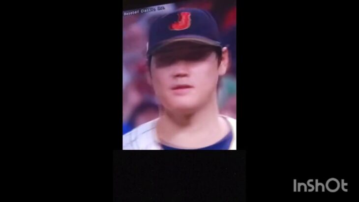 wbc日本優勝シーン。