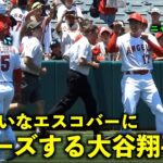 ネコ嫌いなエスコバーにジョークで猫ポーズする大谷翔平w【現地映像】エンゼルスvsダイアモンドバックス第3戦7/3