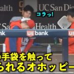 コラっ！大谷翔平の手袋を触ってペチられるオホッピーw【現地映像】エンゼルスvsパドレス第3戦7/6