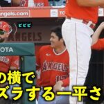 大谷翔平の横でしれっとサンドバルにイタズラする一平さんw【現地映像】エンゼルスvsヤンキース第３戦7/20