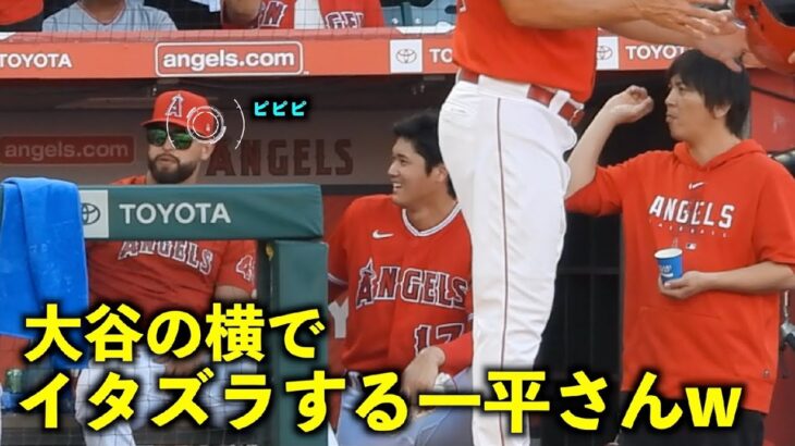 大谷翔平の横でしれっとサンドバルにイタズラする一平さんw【現地映像】エンゼルスvsヤンキース第３戦7/20