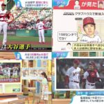 08月11日 プロ野球ニュース [ 大谷翔平について話す ] – 同地区強豪が見る大谷翔平獲りの“優先度”　史上最高契約の行方…球団トップの方針