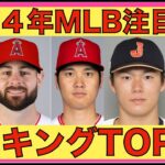 2024年MLB注目FAランキングtop10‼️ 契約先予想‼️ 大谷翔平は勿論‼️ エンゼルスの来季の補強は⁉️