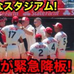 二刀流大谷が緊急降板！スタジアム騒然の2回表26球！【現地映像】