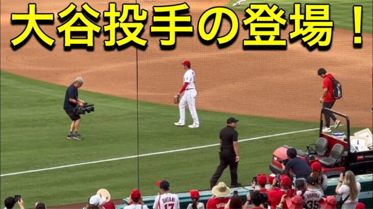 【大谷投手の登場です！】カッコイイ〜！【2番ピッチャー・大谷翔平選手】対サンフランシスコ・ジャイアンツ第3戦@エンジェル・スタジアム 8/9/2023 #大谷翔平  #ohtani  #エンジェルス