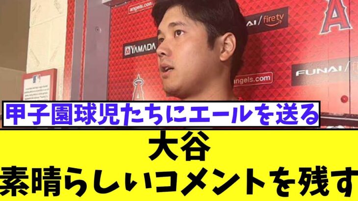 大谷翔平　素晴らしいコメントを残す【2chなんj反応】