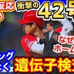 【海外の反応】大谷翔平、ありえない42号ホームランに世界が戸惑い「どうしてあれが入るんだ…？」