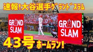 速報！大谷選手 43号 グランドスラム ホームラン！現地映像 Angels エンゼルス Shohei Ohtani 大谷翔平 本塁打