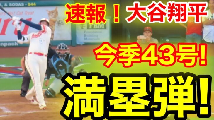 速報！㊗️満塁弾!!!!大谷ウッタゾ！今季43号満塁ホームラン！大谷翔平　第2打席【8.18現地映像】レイズ1-1エンゼルス2番DH大谷翔平　2回裏2死満塁