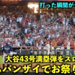 超お祭り騒ぎ！大谷翔平の43号満塁HRをスロー再生したらスタンド総立ち＆バンザイの瞬間が最高すぎた!【現地映像】エンゼルスvsレイズ第１戦8/19