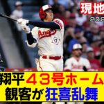 【現地映像まとめ】大谷翔平の43号ホームラン！満塁弾に本拠地が狂喜乱舞する映像www【エンゼルスvsレイズ】