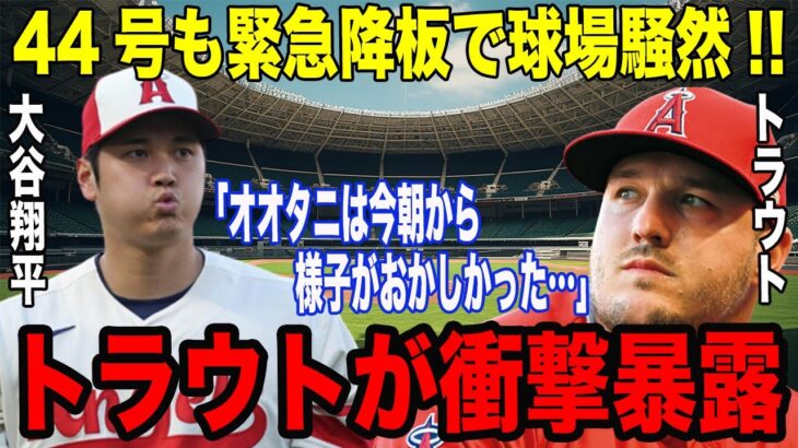 大谷翔平が二刀流で44号ホームランも緊急降板の非常事態！「今朝、痛みを感じていたようだが…」トラウトが大谷の状態について暴露した内容に一同驚愕！！【海外の反応】