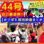 【大谷翔平 自己最速44号ミサイル弾！おこぼれ現地映像まとめ】