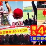 【大谷翔平超弾丸44号ミサイル弾！スタジアムが揺れる現地映像まとめ】自己最速186.2キロで134.7ｍの特大弾やば過ぎｗ