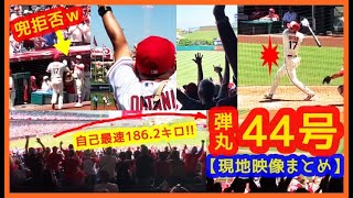 【大谷翔平超弾丸44号ミサイル弾！スタジアムが揺れる現地映像まとめ】自己最速186.2キロで134.7ｍの特大弾やば過ぎｗ