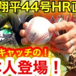 大谷翔平44号HR直後！ボールを掴んだ日本人が登場！緊急降板で騒然のエンゼルスが決死の叫び！【現地取材】