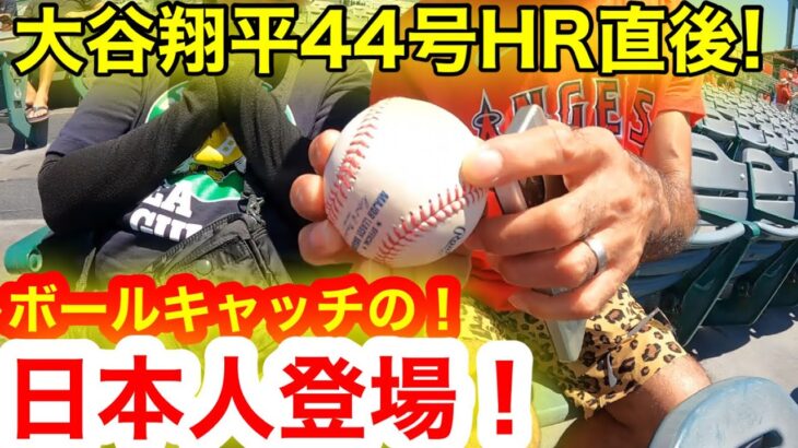 大谷翔平44号HR直後！ボールを掴んだ日本人が登場！緊急降板で騒然のエンゼルスが決死の叫び！【現地取材】