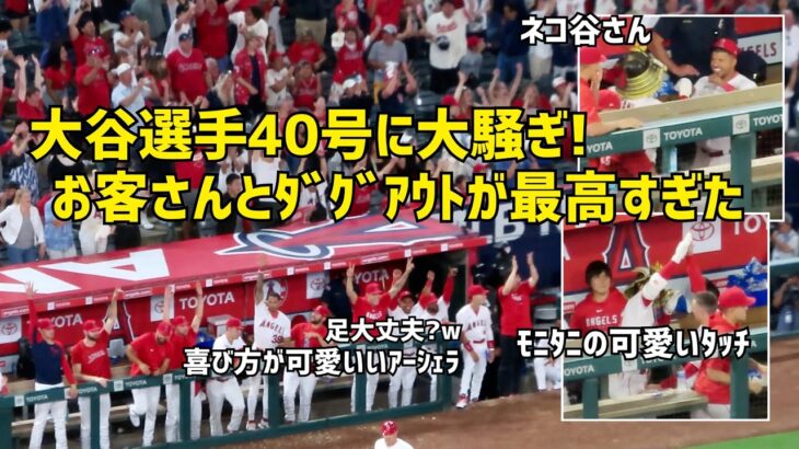 大谷選手の４０号ホームランに観客もダグアウトも大騒ぎ！ みんなの反応が最高すぎた  現地映像 エンゼルス Angels 大谷翔平 Shohei Ohtani