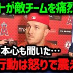 大谷への”あの行動”にトラウトが激怒！「俺も翔平も怒りが収まらないよ…」【海外の反応/MLB/メジャー】