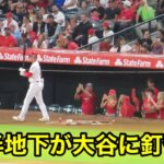 VIP半地下で大谷人気がヤバすぎる！【現地映像】