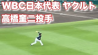 WBC日本代表・ヤクルト高橋奎二投手の試合前キャッチボール