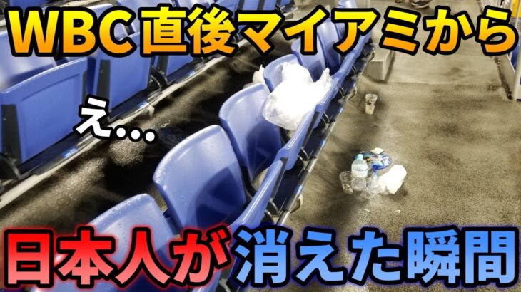 米国人「こんなのありえない…」WBCで優勝した直後の日本人サポーターたちの行動に世界がびっくり！【四国めたん】