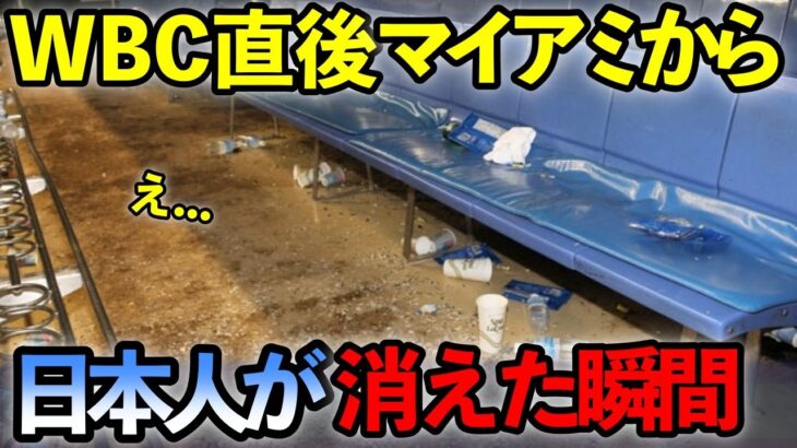 米国人「こんな人種ありえない…」WBCで優勝した直後の日本人サポーターたちの行動に世界がびっくり！