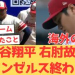 【海外の反応】唯一の希望の大谷翔平、右肘靱帯損傷で今季登板終了となり怒りを爆発させるエンゼルスファンの反応【大谷翔平 エンゼルス レッズ】