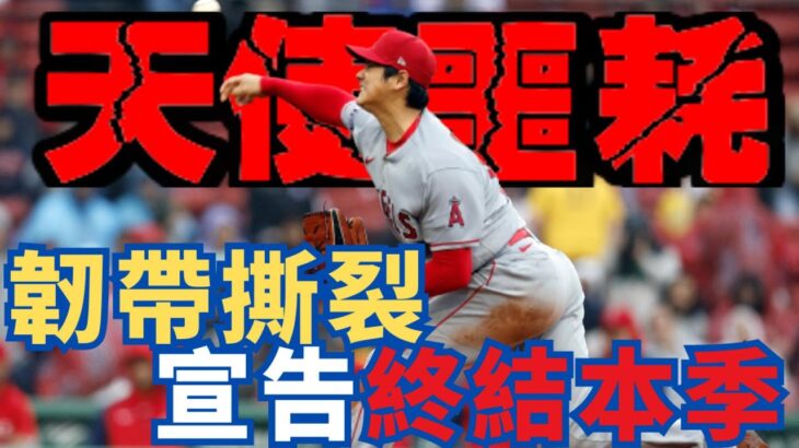 天使史上最大噩耗！大谷翔平投手身份結束，本季投手路提前終結！