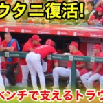 トラウタニ復活！大谷をベンチで支えるトラウト！【現地映像】