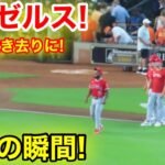 エンゼルス勝利の瞬間！大谷が置き去りに💦　【現地映像】