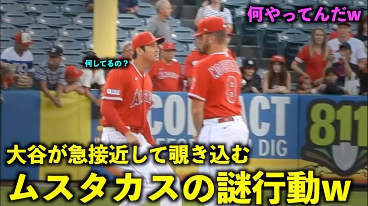 可愛すぎるw ムスタカスに急接近し顔を覗き込む大谷翔平w【現地映像】エンゼルスvsジャイアンツ第２戦8/9