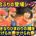 爆笑‼️大谷12試合ぶりの登場シーンが面白い🤣スタジアムのファンは騒然💦 【現地映像】9/16vsタイガース ShoheiOhtani Angels