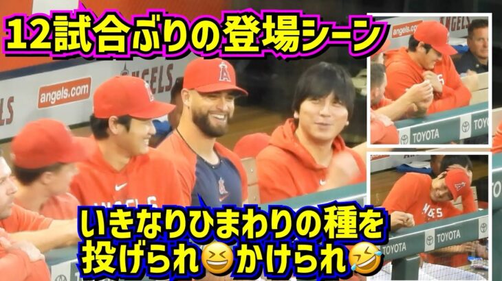 爆笑‼️大谷12試合ぶりの登場シーンが面白い🤣スタジアムのファンは騒然💦 【現地映像】9/16vsタイガース ShoheiOhtani Angels