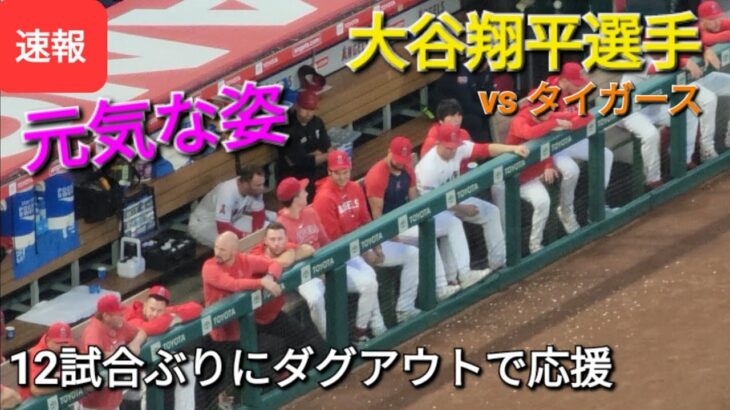 12試合ぶりに姿を現してくれた！〜ダグアウトで応援〜【大谷翔平選手】vs デトロイト・タイガース〜シリーズ2戦目〜 2023.09.16