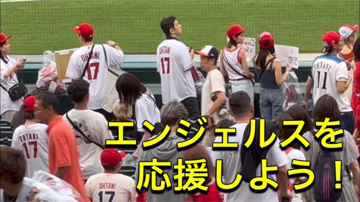 【エンジェルスを応援しよう！】大谷翔平選手はベンチスタートです。対ボルチモア・オリオールズ第2戦@エンジェル・スタジアム 9/5/2023 #大谷翔平  #ohtani  #エンジェルス