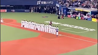 侍ジャパン控え選手紹介 2023 WORLD BASEBALL CLASSIC™ 強化試合  （WBC強化試合） vs 阪神タイガース　京セラドーム大阪 野球 日本代表