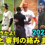 最高すぎる！大谷翔平と審判たちの絡みをまとめてみた2023年版！【現地映像】WBC侍ジャパン・エンゼルス