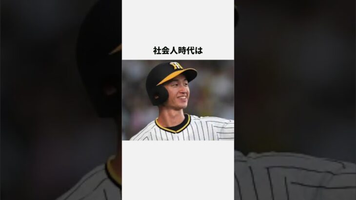 アマチュア時代の近本光司のエピソード3選# #wbc #プロ野球#阪神