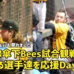 Day2&3エンゼルス傘下Beesで頑張る選手たちを応援  Bees エンゼルス Angels  現地映像現地映像 エンゼルス Angels 大谷翔平 Shohei Ohtani