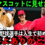 【大谷翔平】MLBのマスコットに見せた奇跡の対応に感動…【海外の反応】