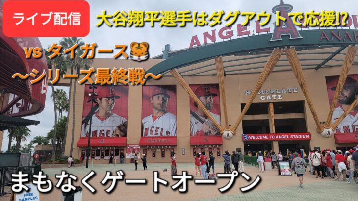 【ライブ配信】対デトロイト・タイガース〜シリーズ最終戦〜大谷翔平選手はダグアウトで応援!?まもなくゲートオープン⚾️Shinsuke Handyman がライブ配信します！