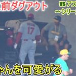 試合直前ダグアウトの様子～ワンちゃんを可愛がる【大谷翔平選手】対オークランド・アスレチックス～シリーズ２戦目～Shohei Ohtani vs Athletics 2023