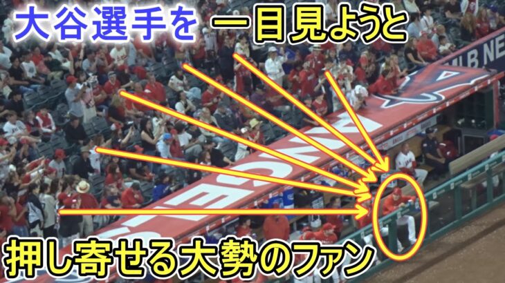 大谷翔平選手を一目見ようと押し寄せる大勢のファン～ダグアウトの様子～【大谷翔平選手】デトロイト・タイガース～シリーズ２戦目～Shohei Ohtani vs Tigers 2023