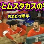 おねだり翔平が可愛過ぎ‼️大谷とムスタカスの物語【現地映像】ShoheiOhtani Angels