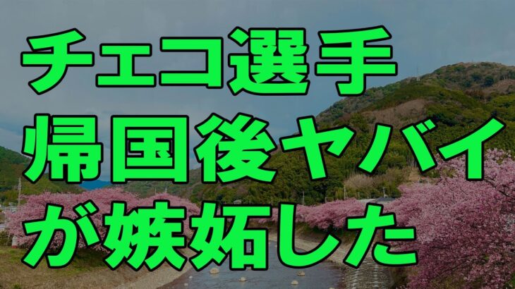 【海外の反応】【WBC】帰国後のチェコ代表「日本の○○がヤバすぎる」【ゆっくり解説】 …