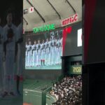 国歌斉唱　WBC東京ドーム 2023 初日　日本初戦　日本国歌　野球　ベースボール