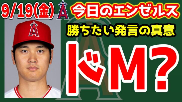 【アデル】パリス大怪我😭アデル・ステファニックキター😆大谷勝ちたい発言について🤔　大谷翔平　エンゼルス　メジャーリーグ　mlb