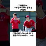 「大谷翔平と水原一平のラブラブエピソード」の雑学 #野球 #大谷翔平と水原一平のラブラブエピソード #野球解説